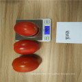 Indeterminat red vegetable hybrid  tomato seeds israel